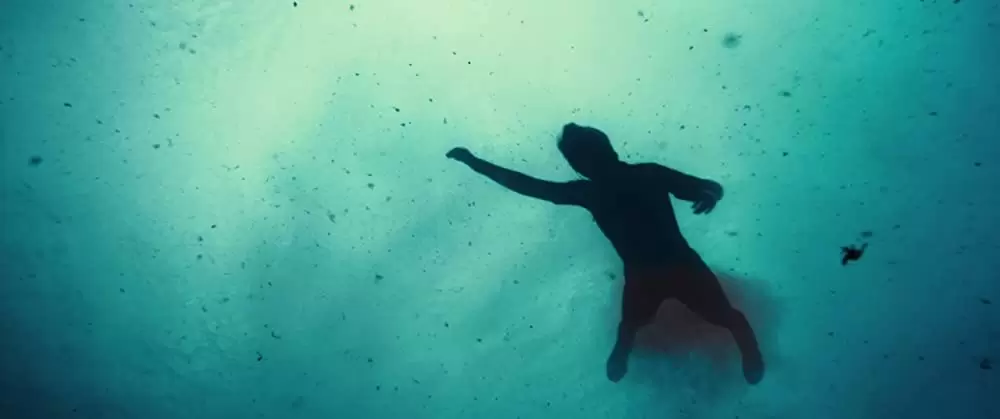 君と歩く世界の画像