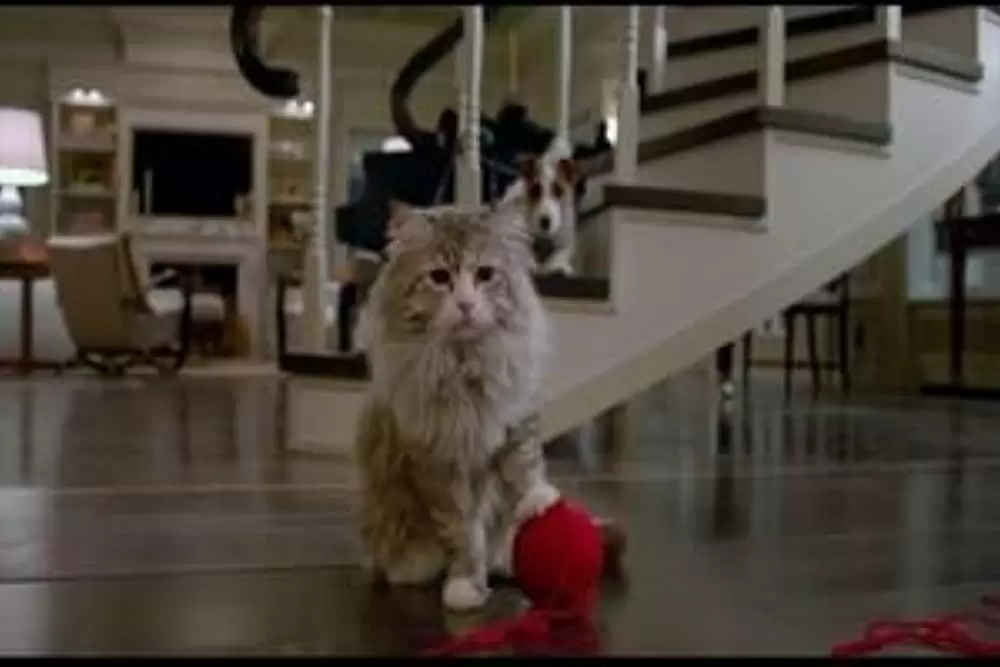 メン・イン・キャットの画像