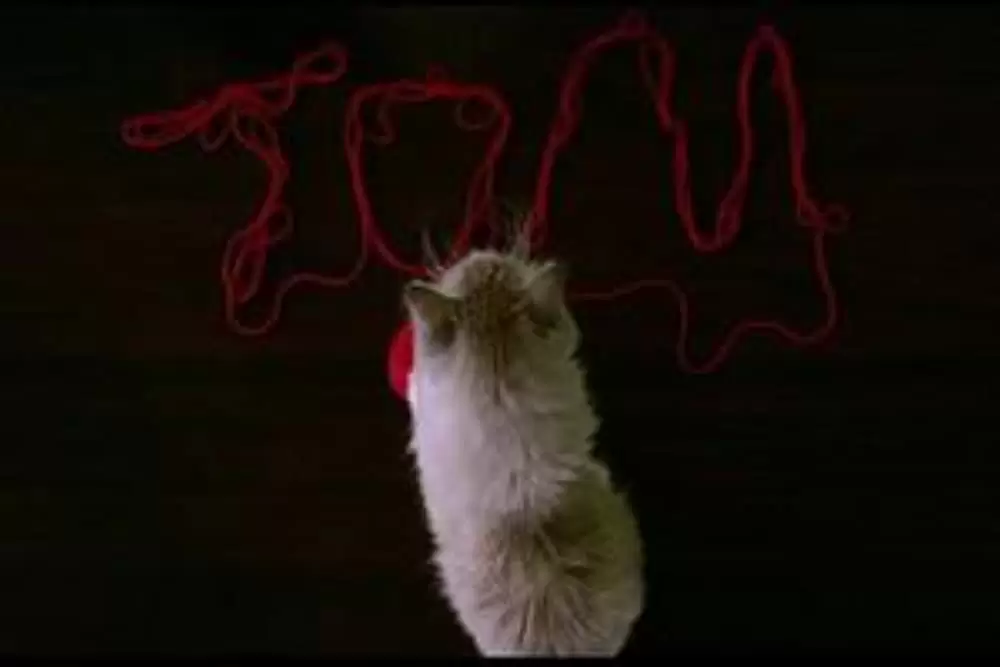 メン・イン・キャットの画像