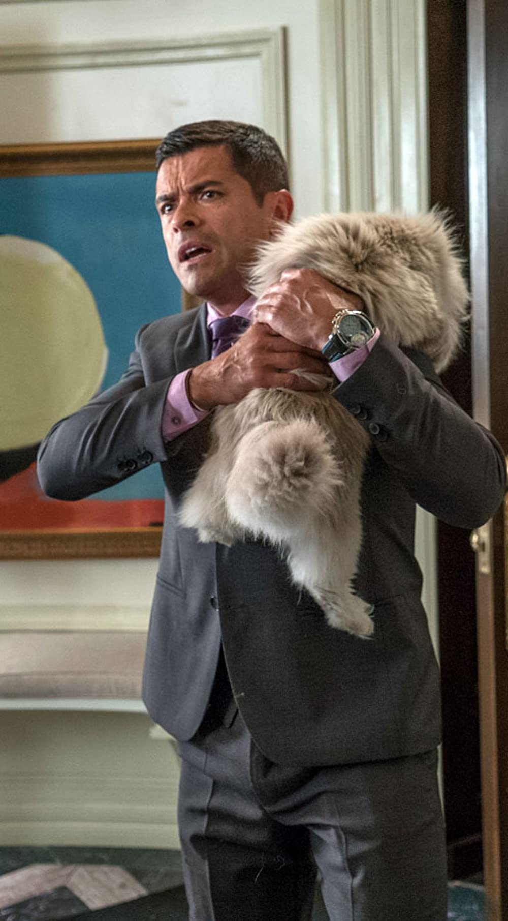 メン・イン・キャットの画像