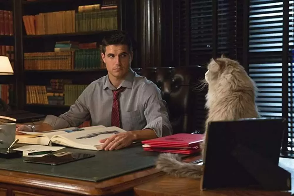 「メン・イン・キャット」ロビー・アメルの画像