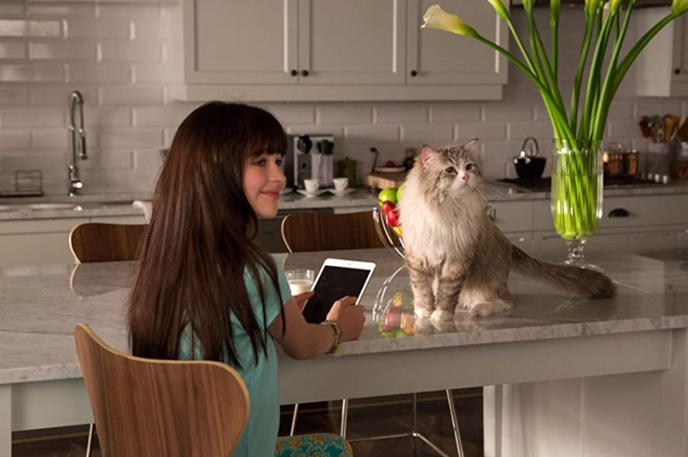 メン・イン・キャットの画像