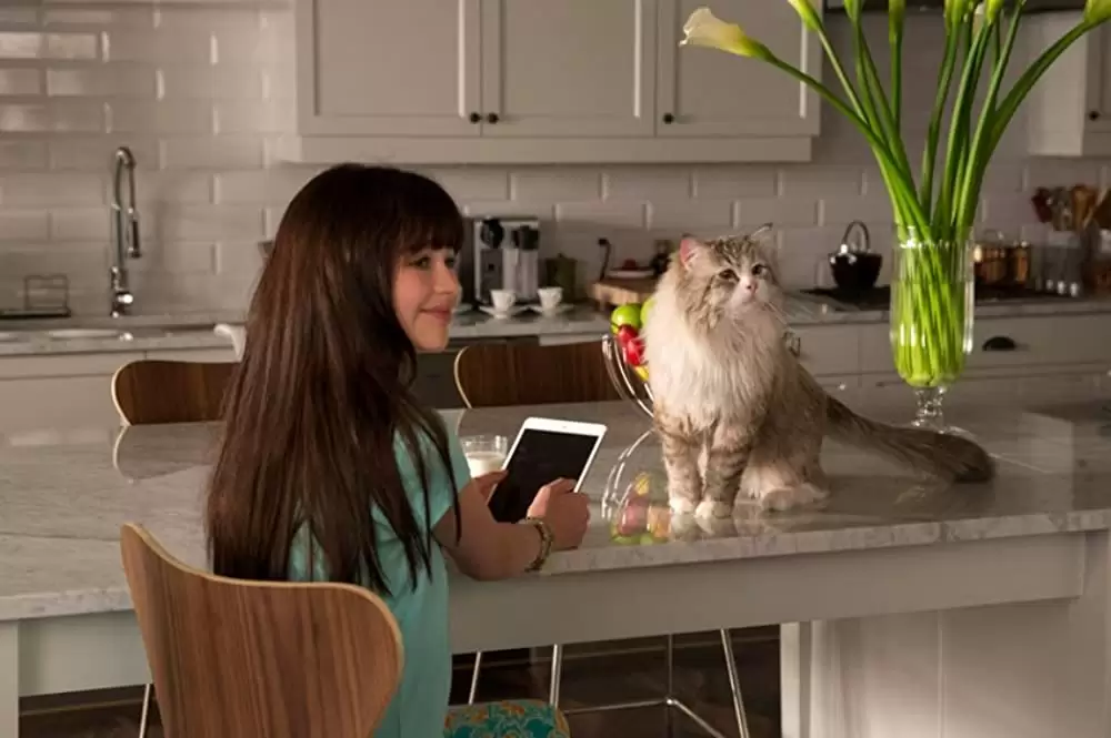 メン・イン・キャットの画像