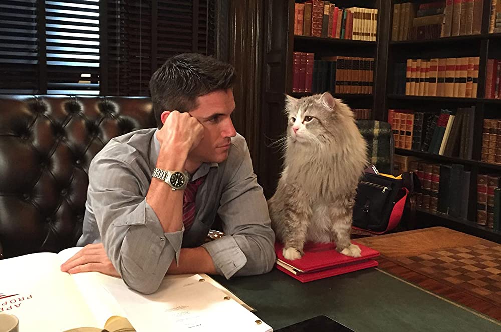 メン・イン・キャットの画像