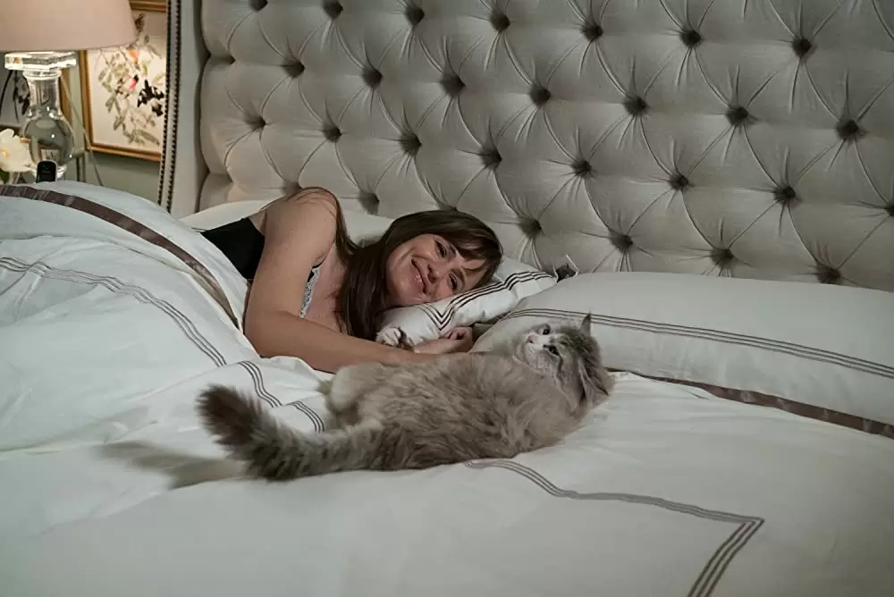 メン・イン・キャットの画像