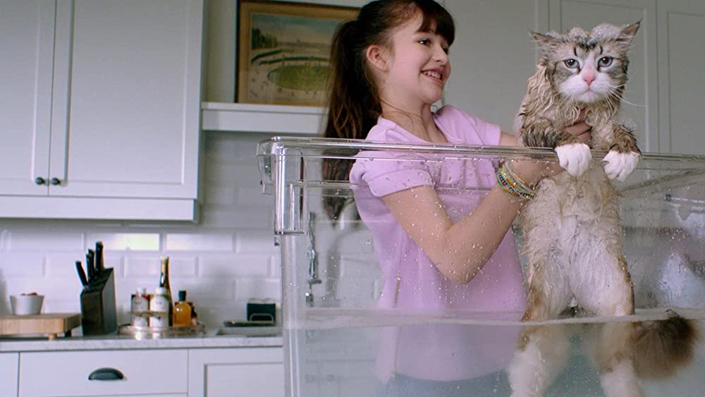 メン・イン・キャットの画像