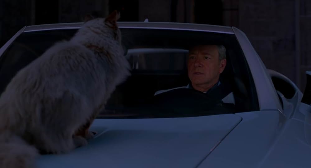 メン・イン・キャットの画像