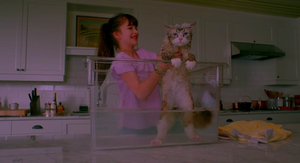 メン・イン・キャットの画像