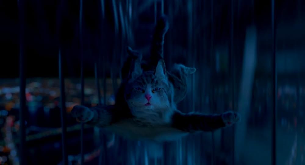 メン・イン・キャットの画像