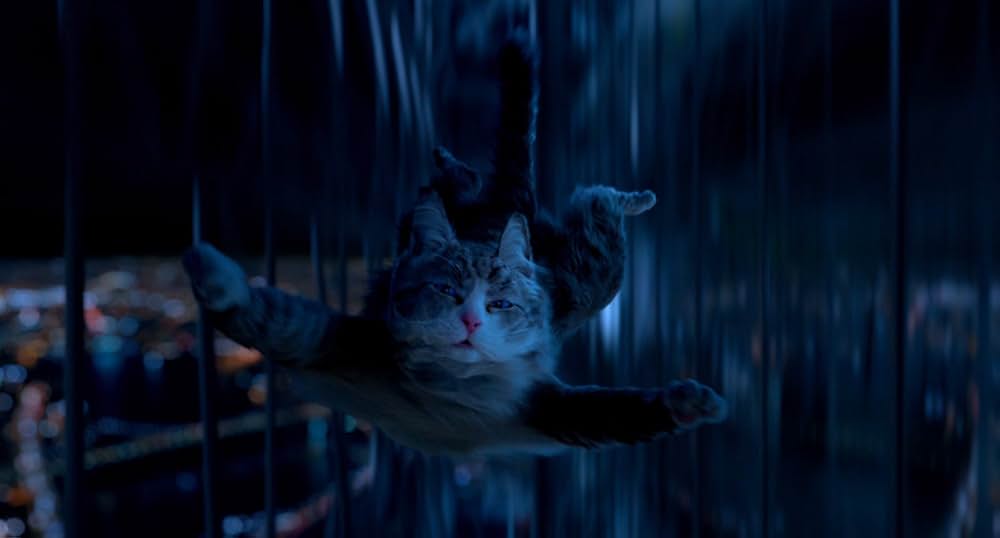 メン・イン・キャットの画像