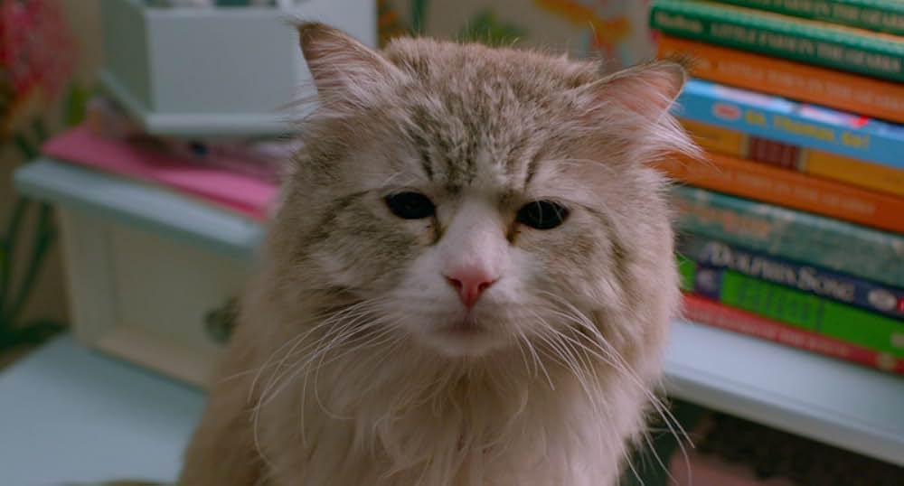 メン・イン・キャットの画像