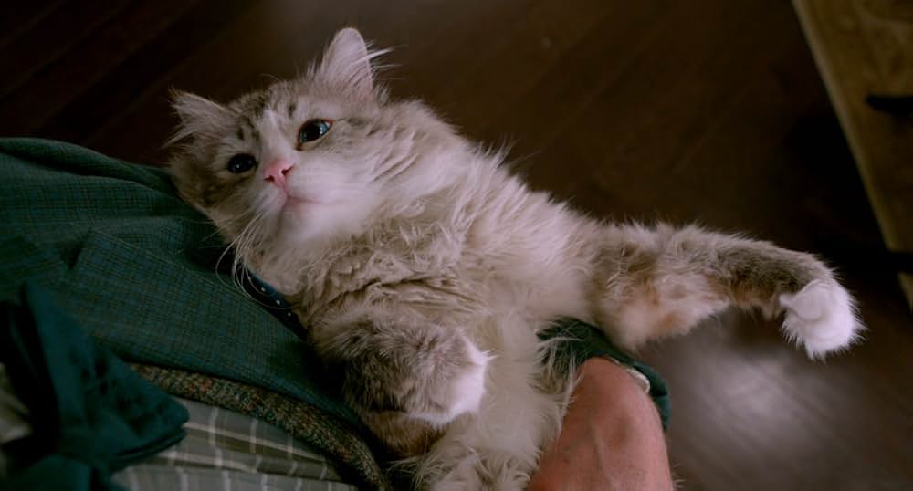 メン・イン・キャットの画像