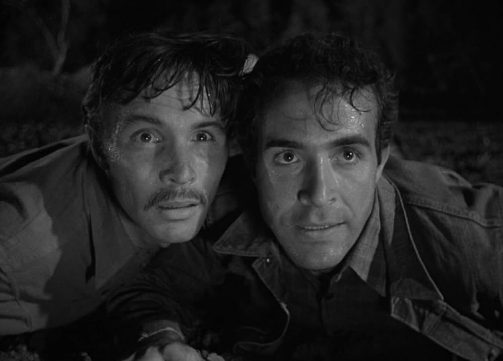 国境事件の画像