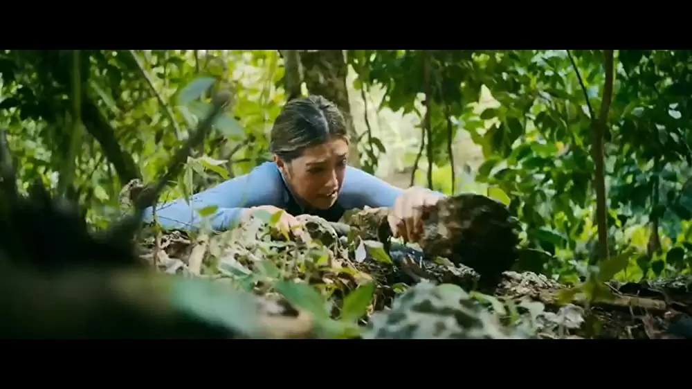 海底47m 古代マヤの死の迷宮の画像