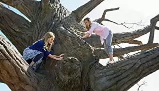 「天国からの奇跡」Brighton Sharbino & カイリー・ロジャーズの画像