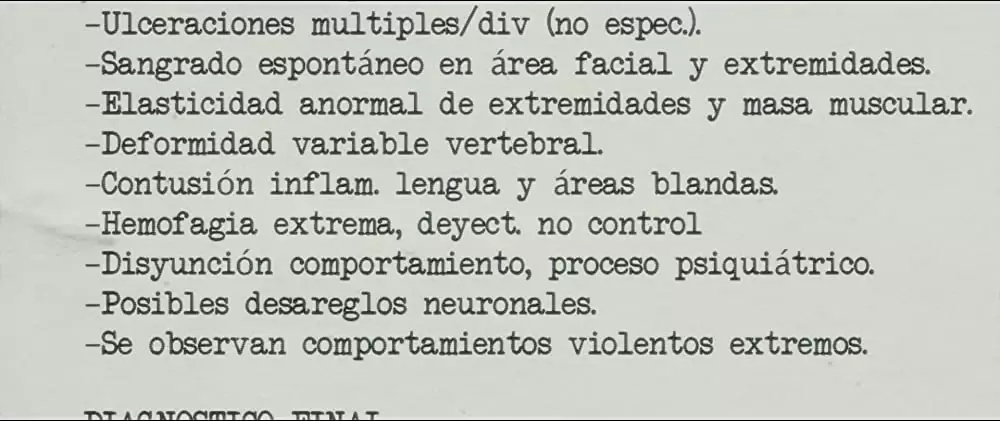 REC レック4 ワールドエンドの画像