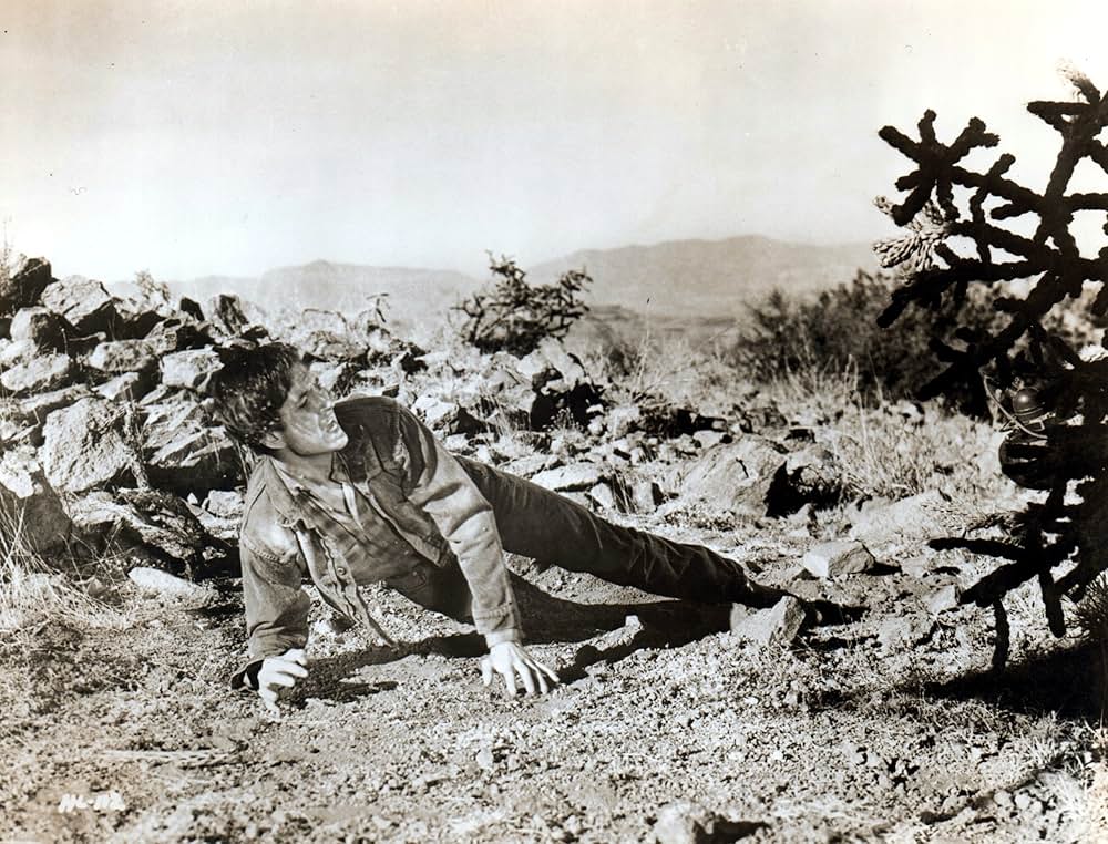 「荒野の風来坊」の画像