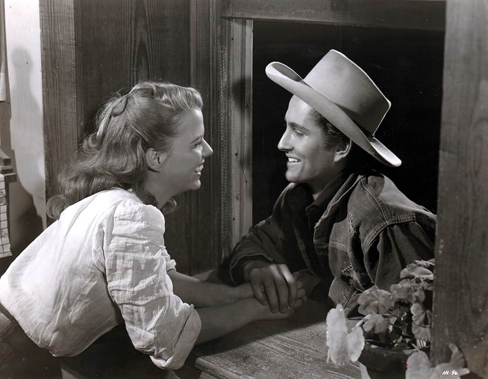 荒野の風来坊の画像