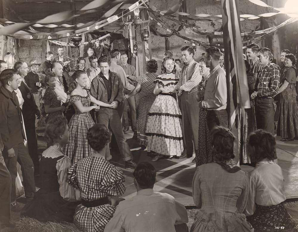 荒野の風来坊の画像