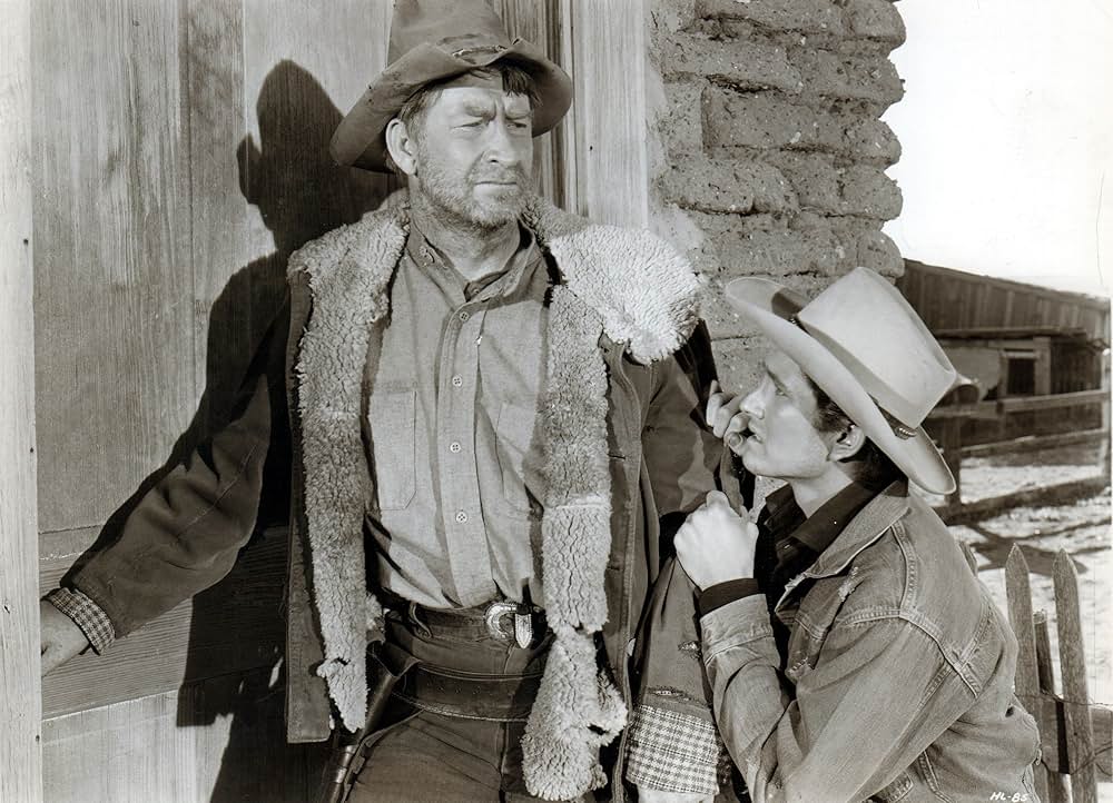 荒野の風来坊の画像