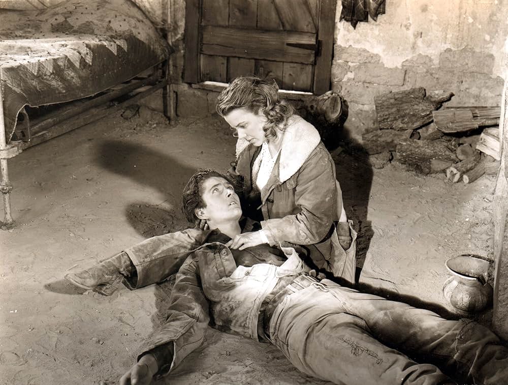 荒野の風来坊の画像