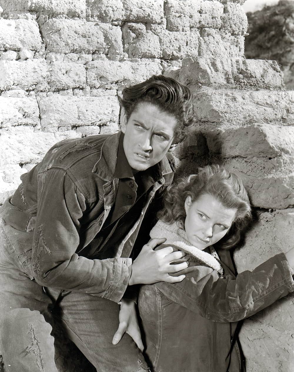 荒野の風来坊の画像