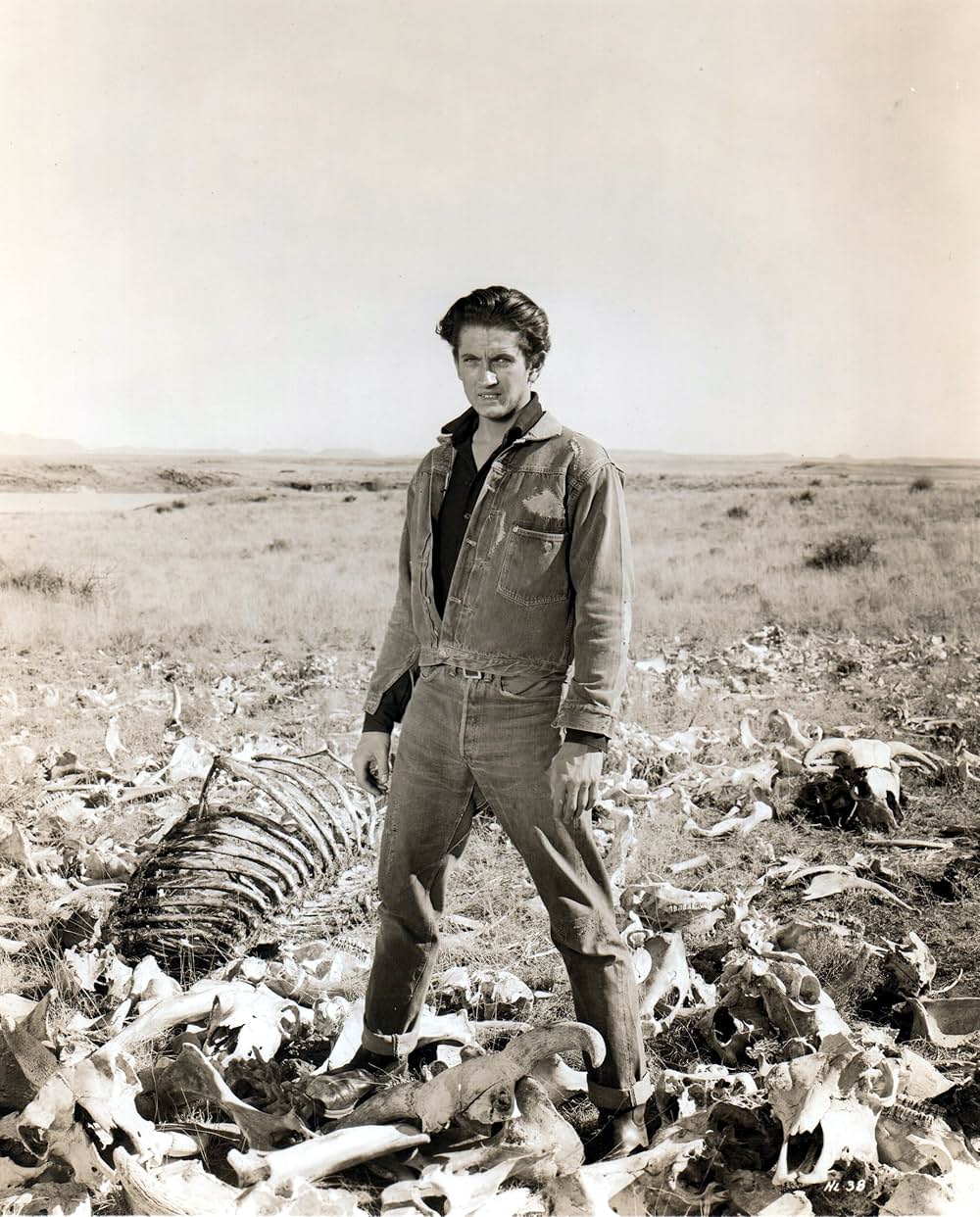 荒野の風来坊の画像