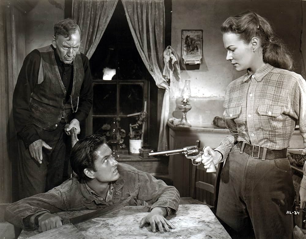 荒野の風来坊の画像