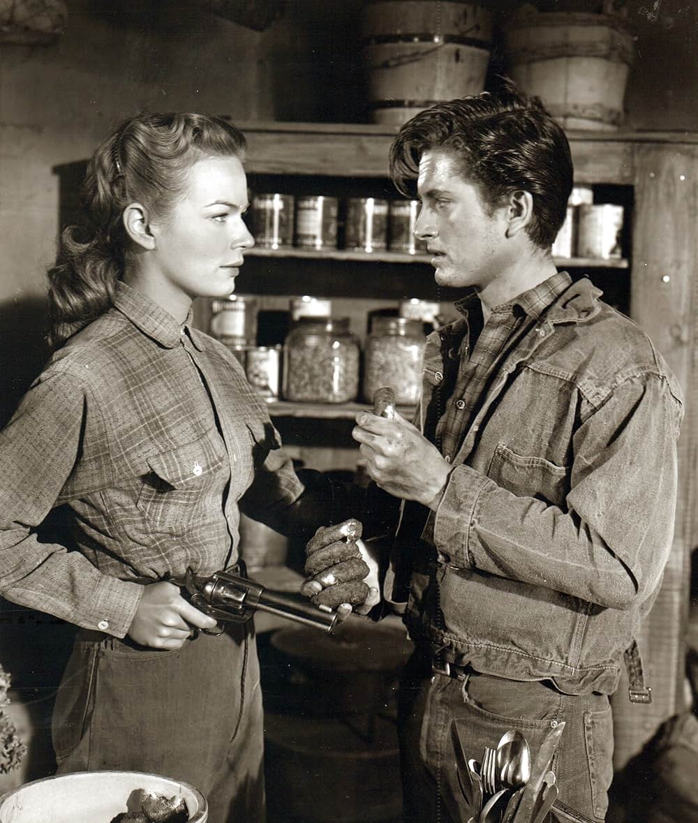 荒野の風来坊の画像