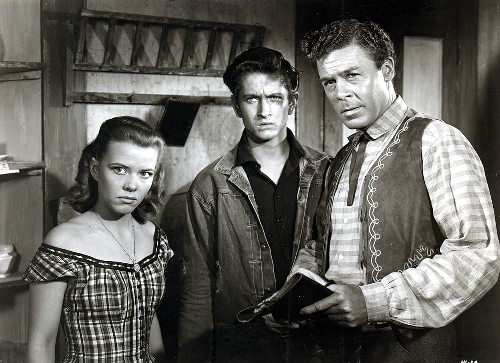 荒野の風来坊の画像