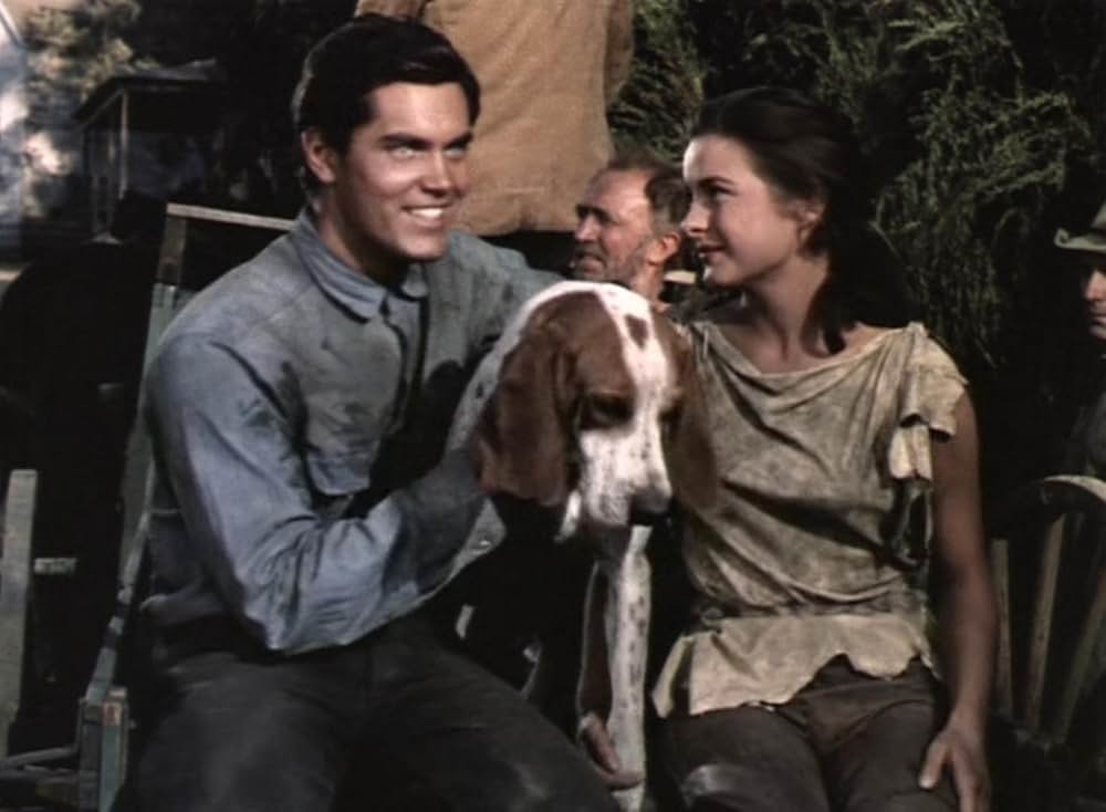 ジャングルの逃亡者の画像