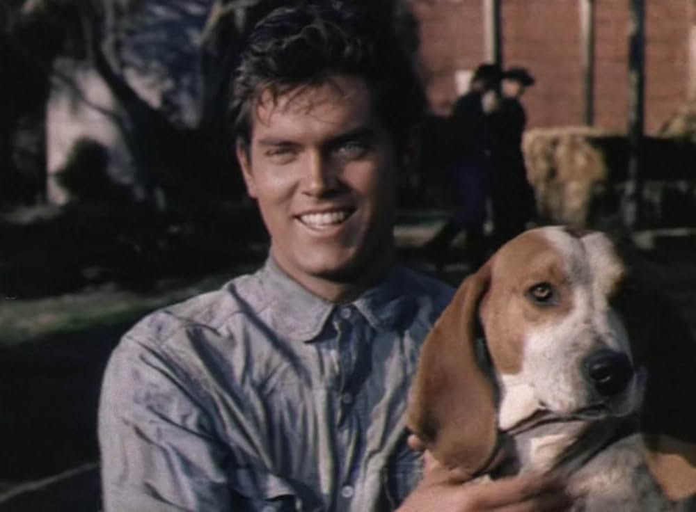 ジャングルの逃亡者の画像