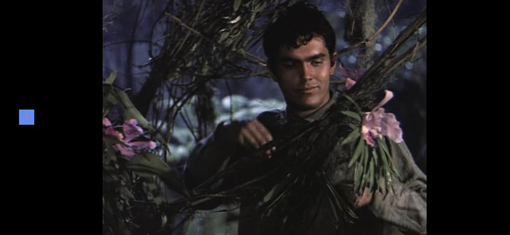 ジャングルの逃亡者の画像