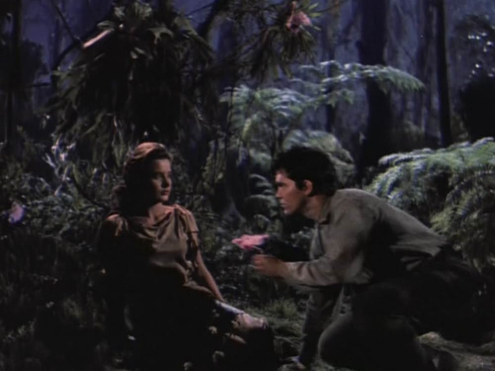 ジャングルの逃亡者の画像