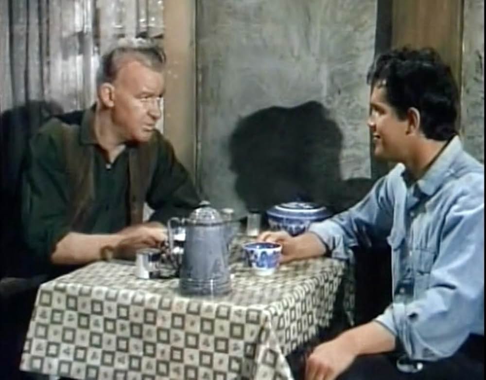 ジャングルの逃亡者の画像