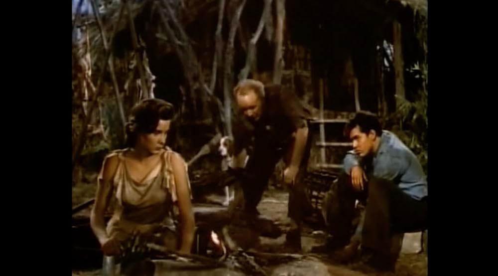 ジャングルの逃亡者の画像