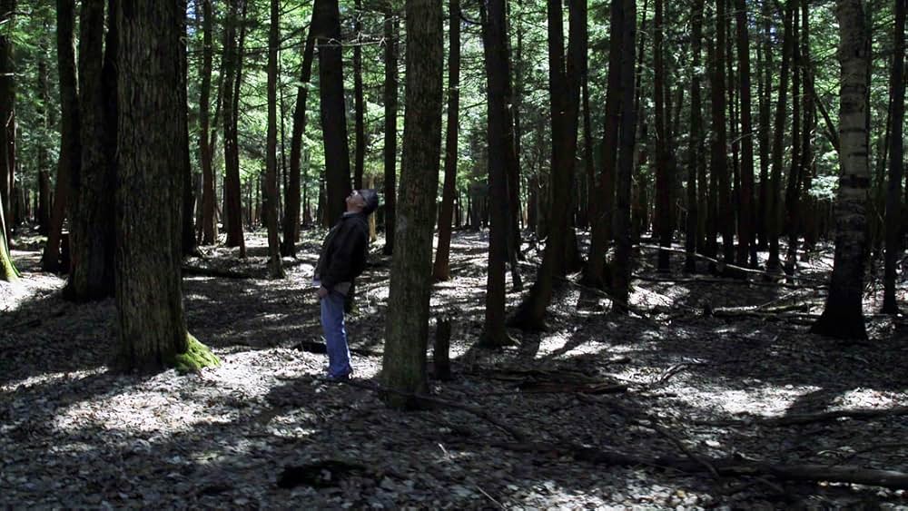 ノースバイカレントの画像