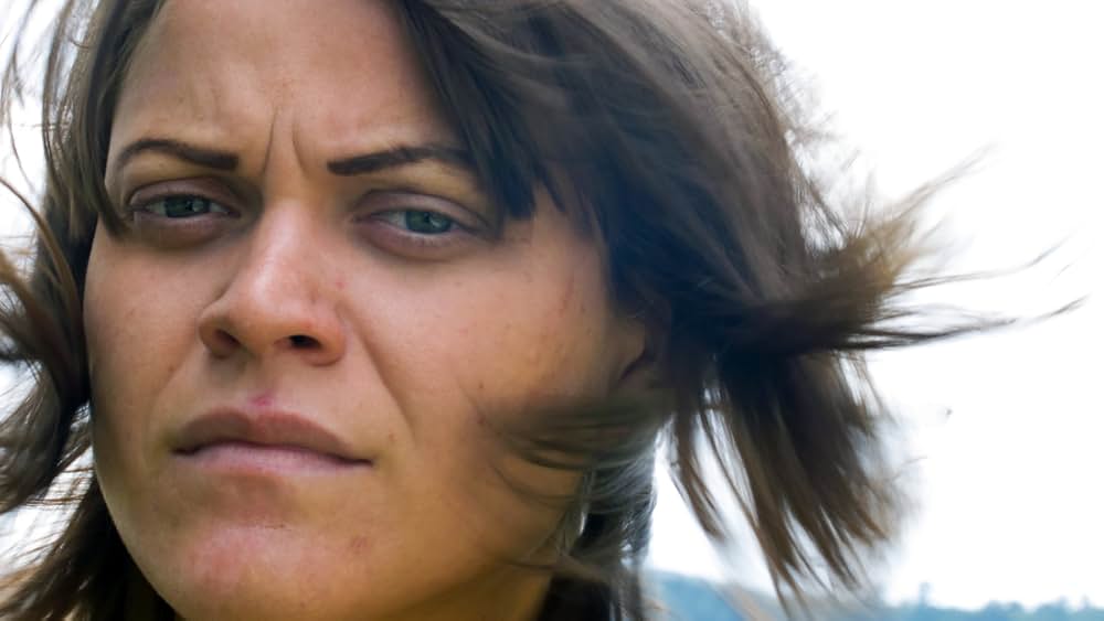 ノースバイカレントの写真