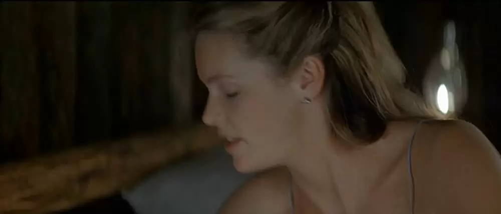 ザ・ワイルドの画像