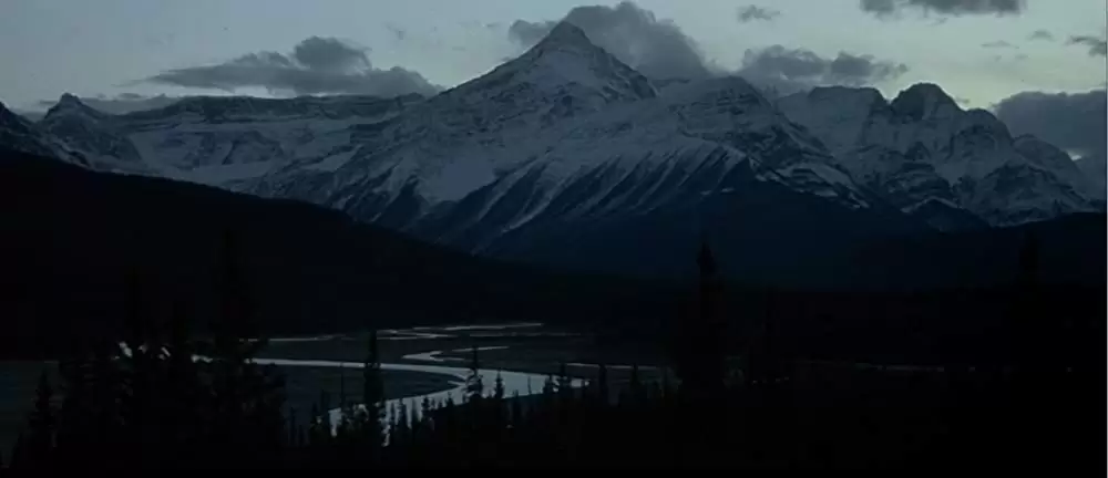 ザ・ワイルドの画像