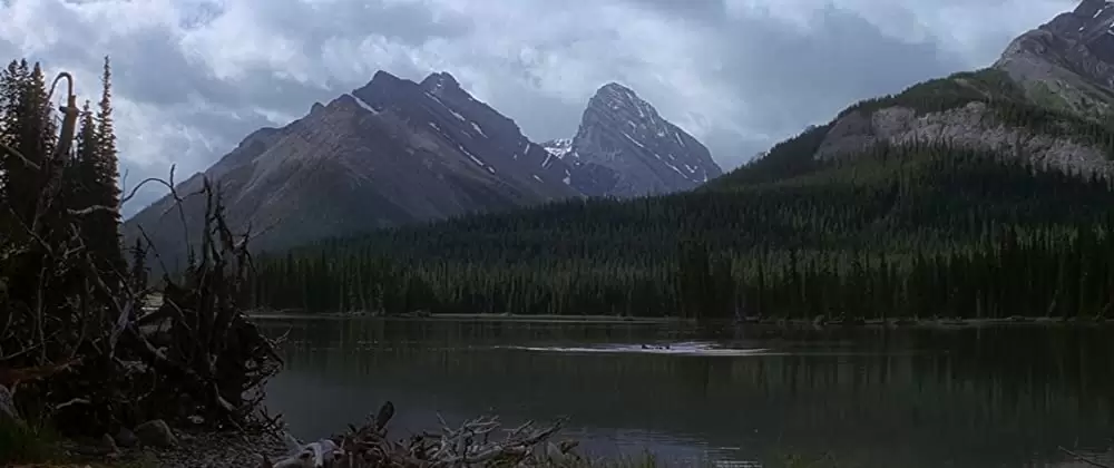 ザ・ワイルドの画像