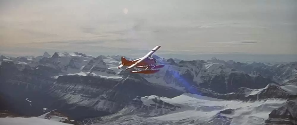 ザ・ワイルドの画像