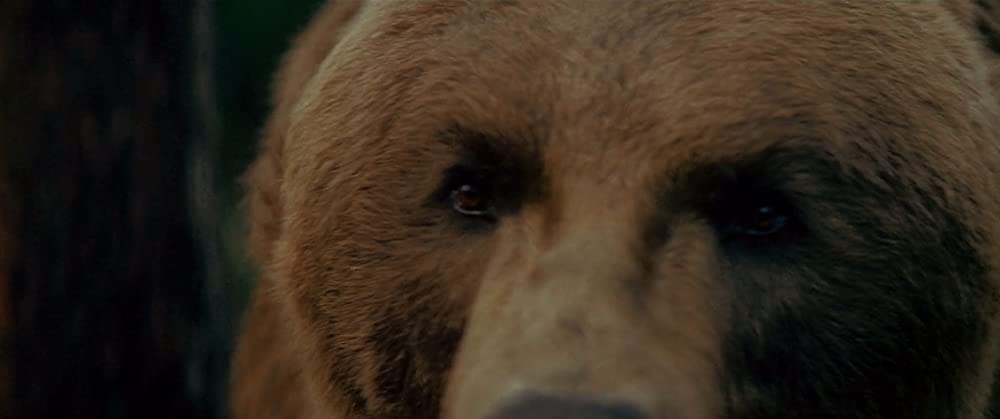 ザ・ワイルドの画像