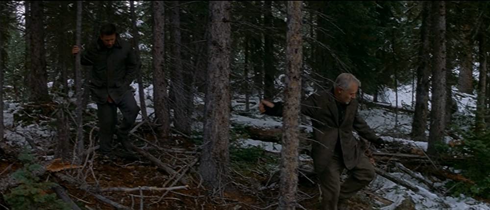 ザ・ワイルドの画像