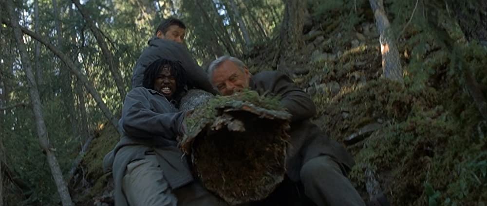 ザ・ワイルドの画像