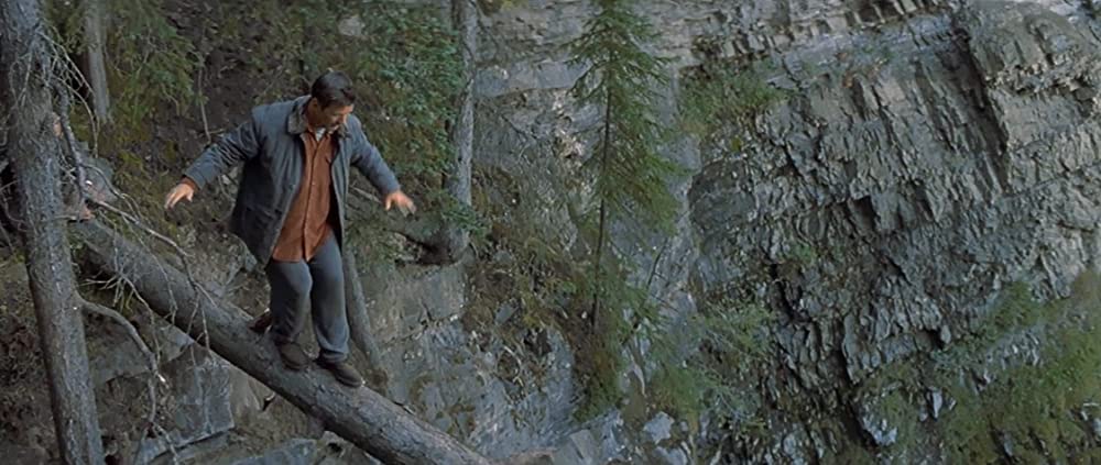 ザ・ワイルドの画像