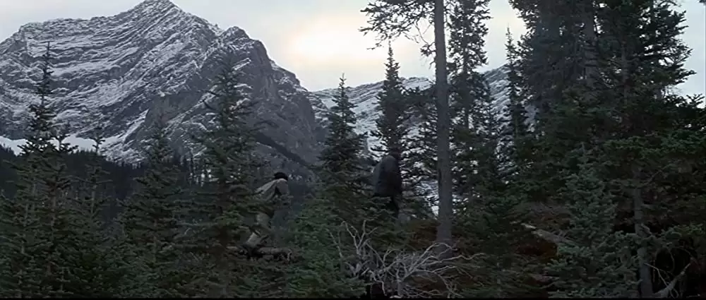 ザ・ワイルドの画像