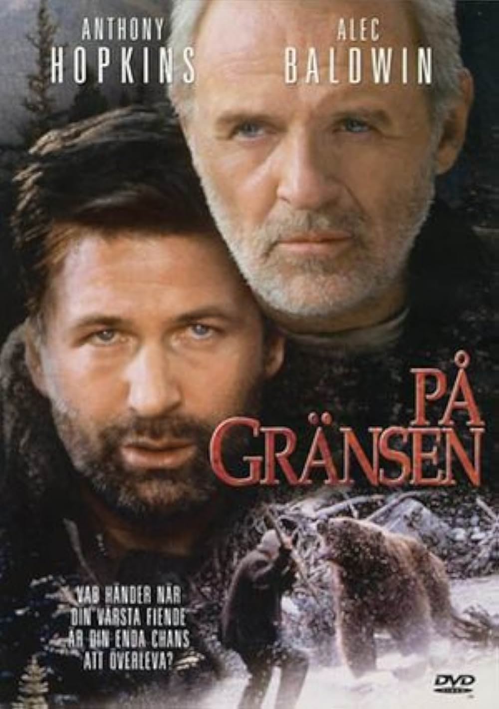 ザ・ワイルドの画像