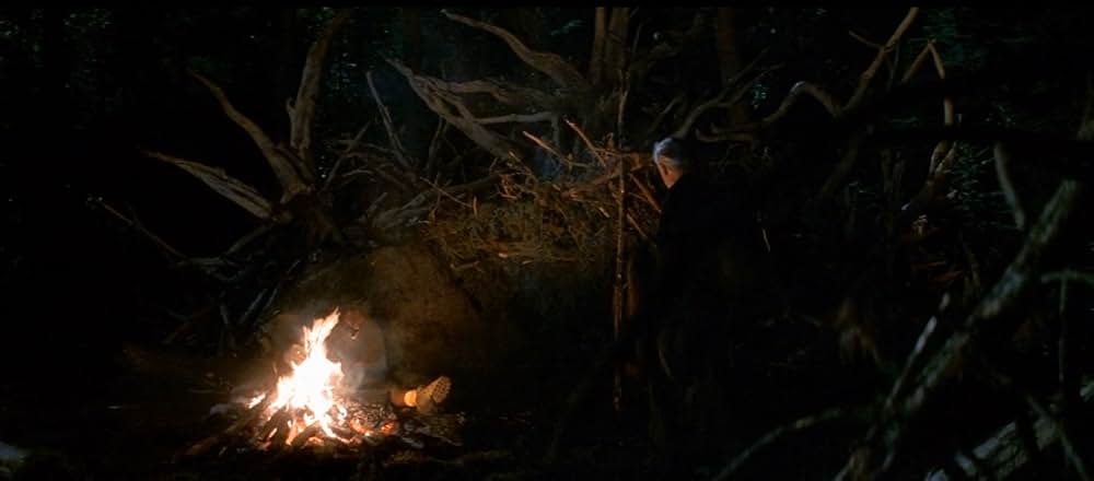 ザ・ワイルドの画像