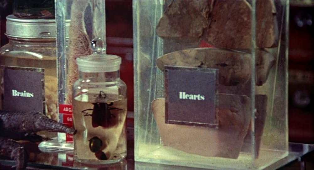 ウィッカーマンの画像